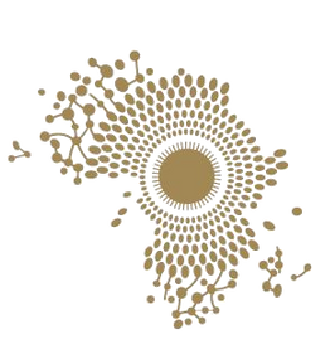 Logo CAE